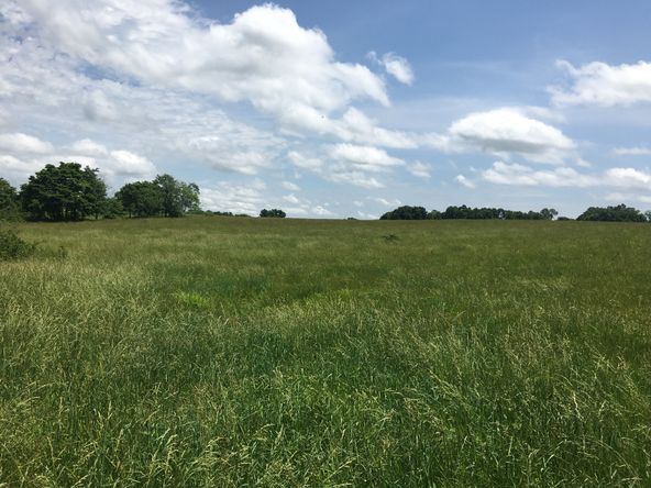 4897 & 4878 Norman Drive, Hartville, MO 65667
